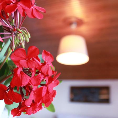 Vrasná Kehagias Apartments מראה חיצוני תמונה